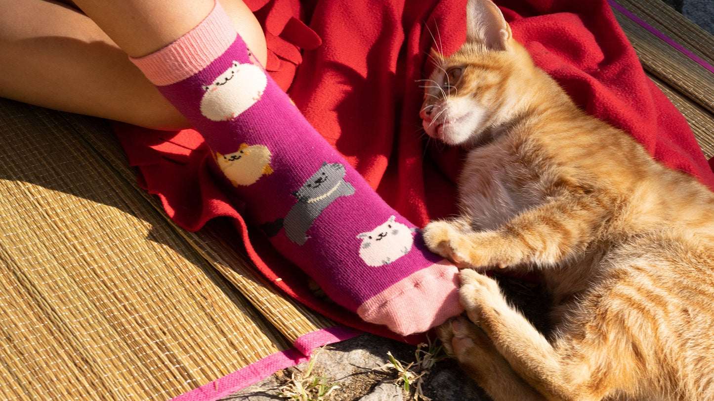 Purr-fect Kid's Cat Sock Set – Cozy Socks for Playful Feet