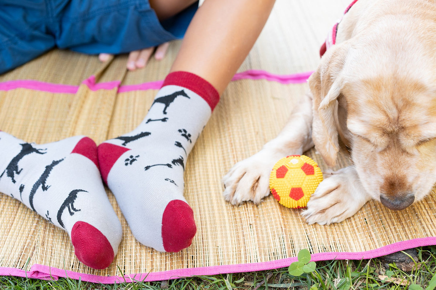 Kids Shadow Dog Socks – Cool Canine Vibes