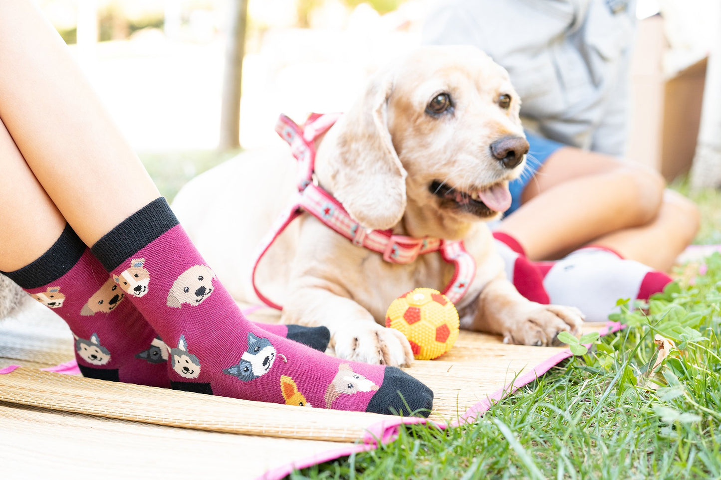Kids Shadow Dog Socks – Cool Canine Vibes