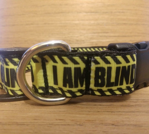 "I AM BLIND" Dog Collar & Leash Combo