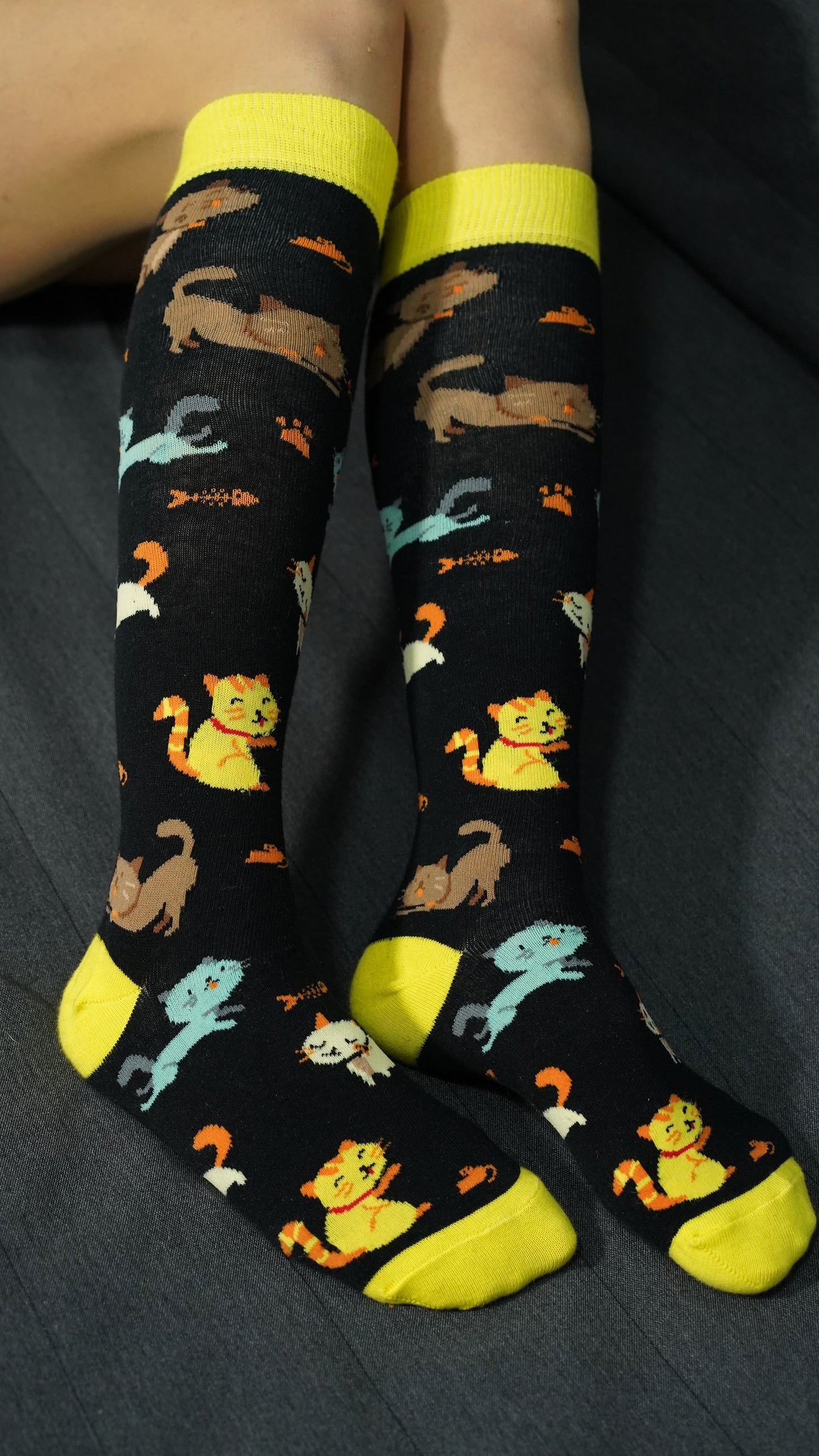 Kitten Knee High Socks for Women – Cozy & Adorable