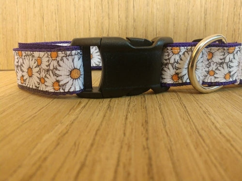 Safe & Secure "Daisy" Dog Martingale Collar – Durable & Trainer-Approved