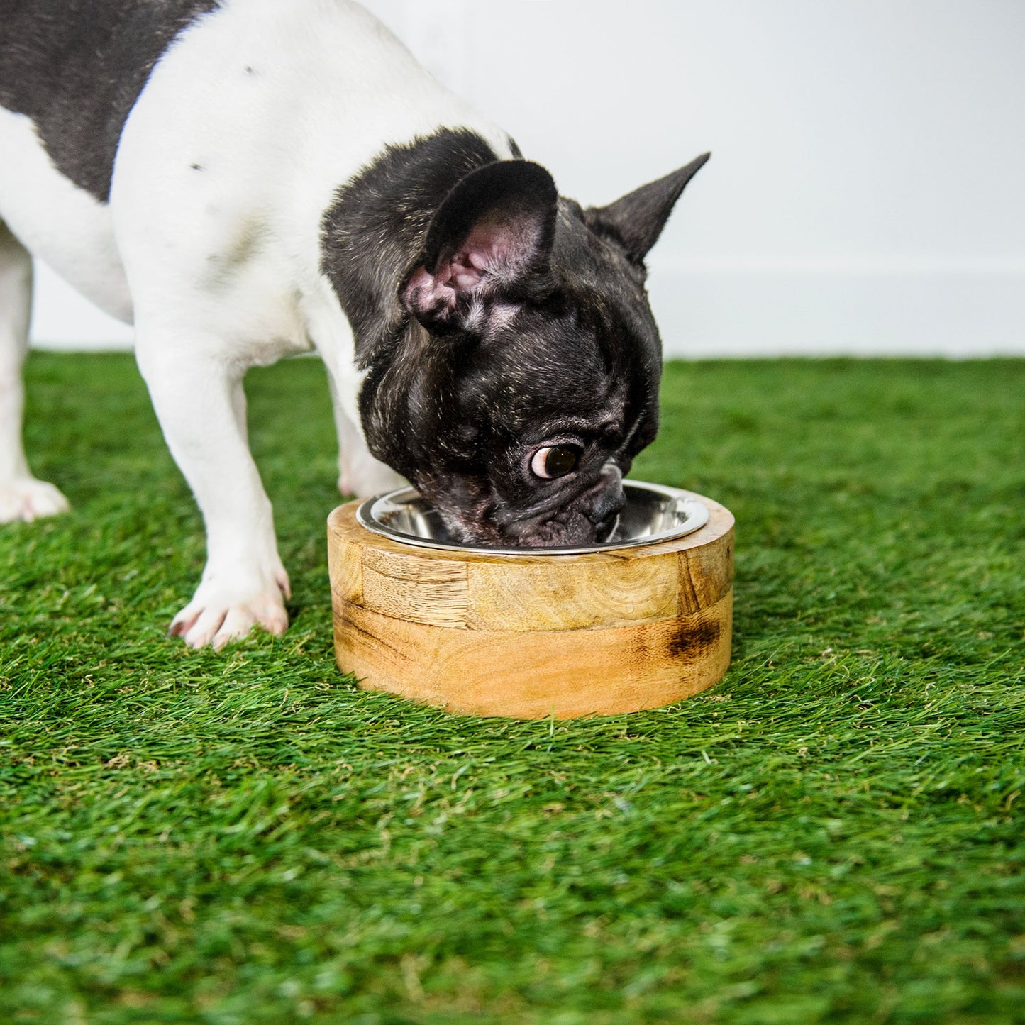 Mango Wood Pet Bowl – Handmade Single Bowl with Removable Stainless Steel Insert