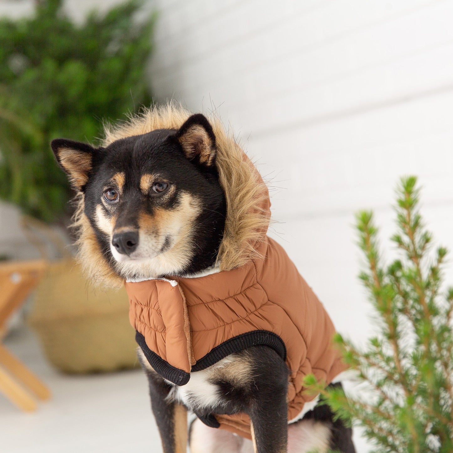 Urban Caramel Parka – Sherpa Lining - Water Resistant Shell