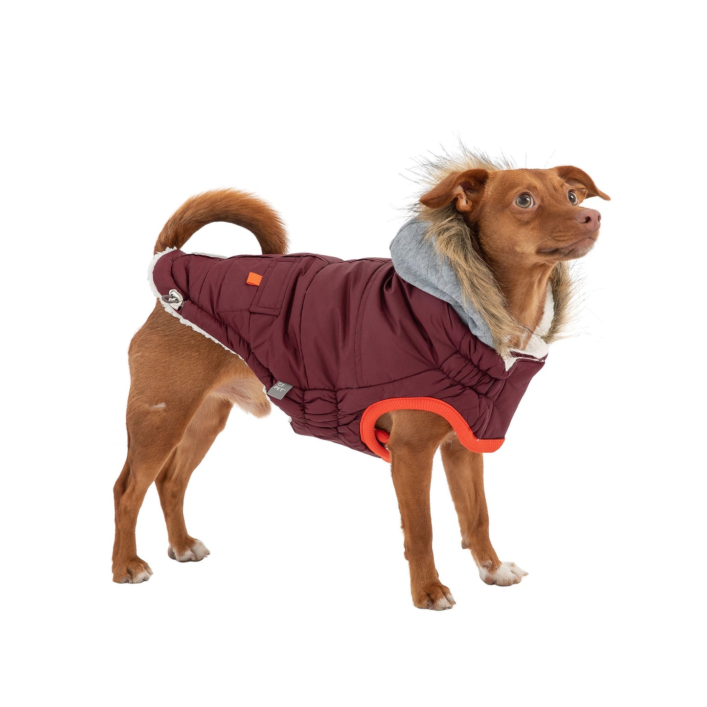 Burgundy Winter Sailor Parka – Chic Warmth for Dog