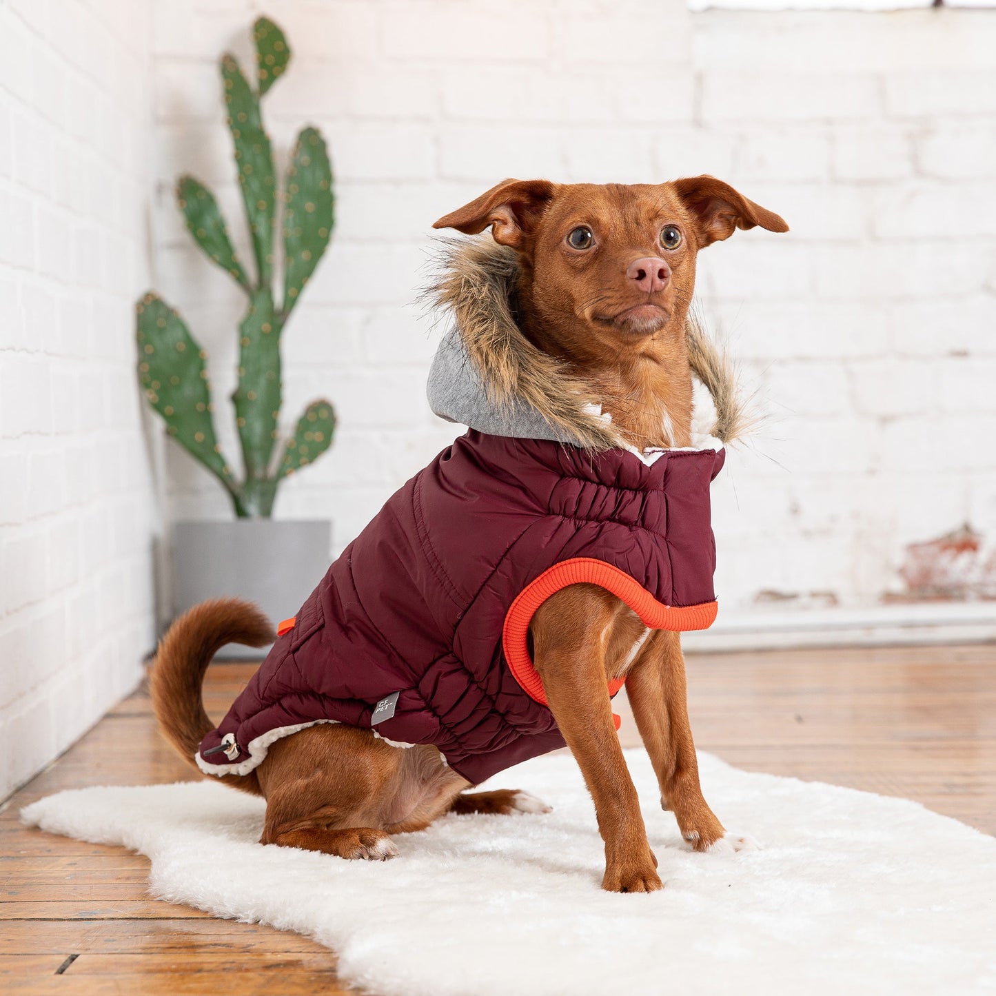 Burgundy Winter Sailor Parka – Chic Warmth for Dog