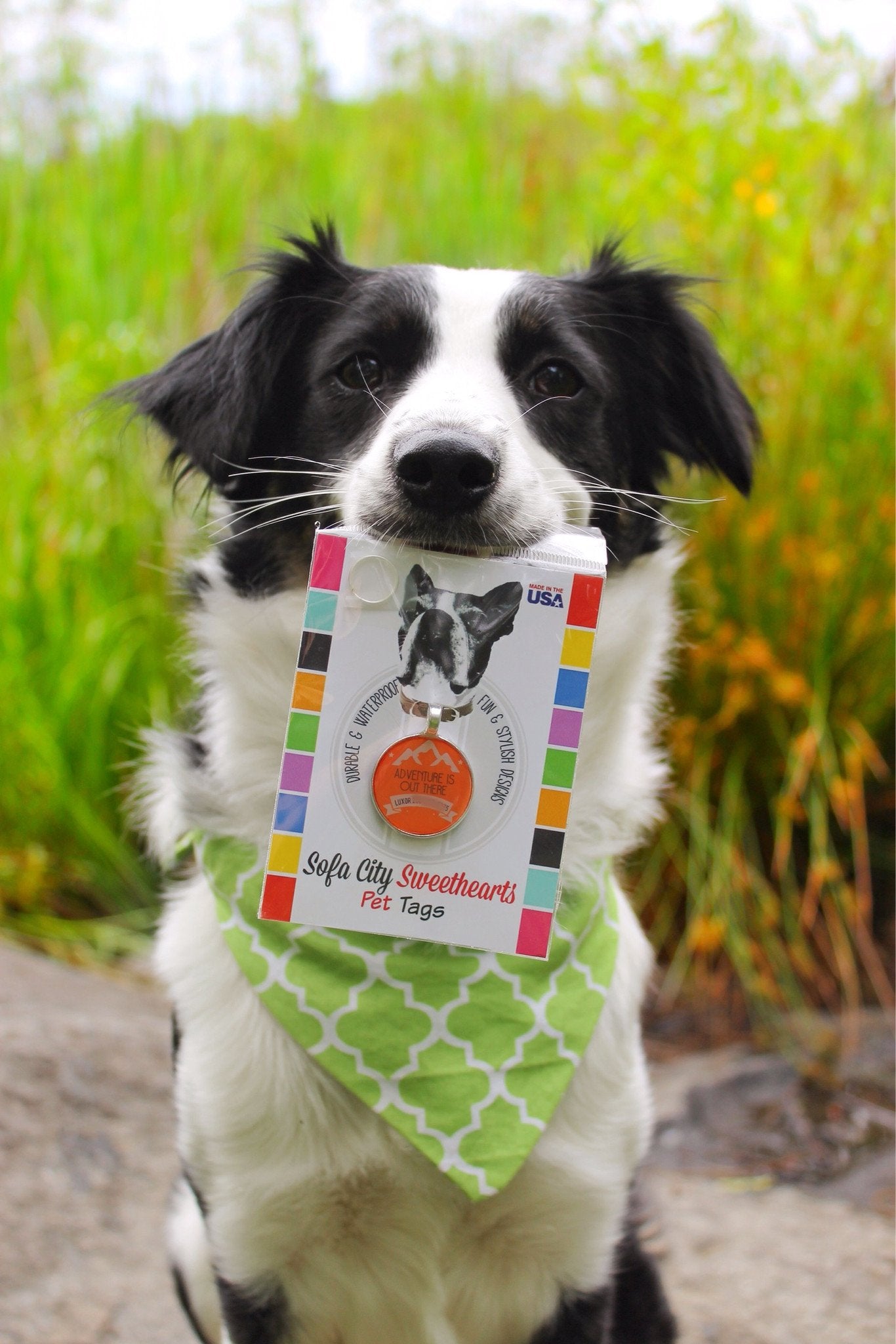 "Adventure is Out There" Personalized Dog ID Custom Pet Tag