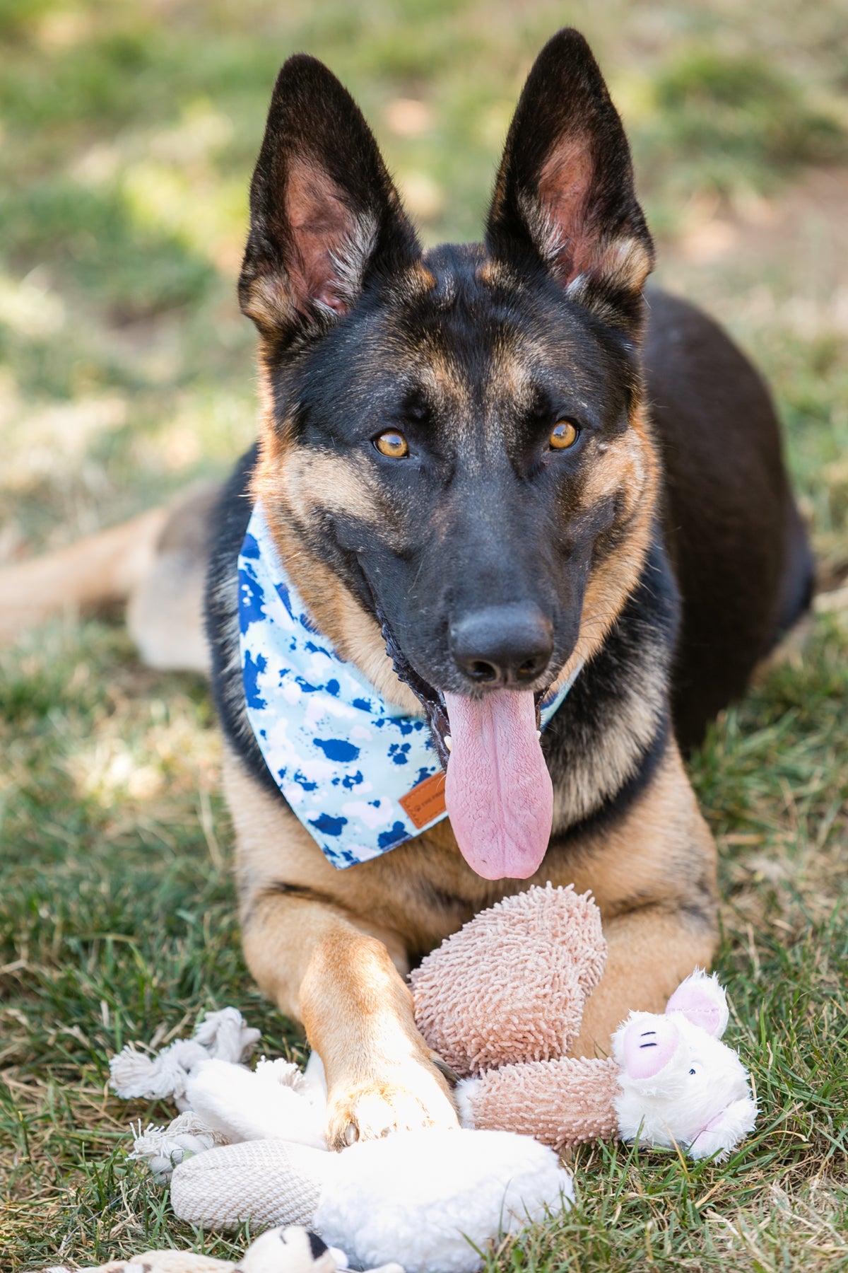 Adorable 6-Pack Plush Dog Toys - Perfect for Snuggles and Play