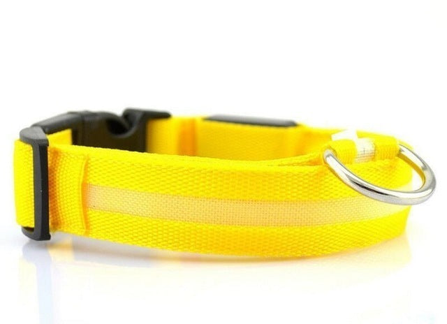 LED Dog Collar with USB Charging – Safe & Eco-Friendly