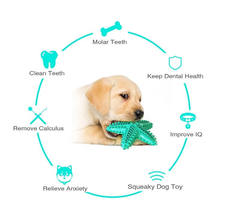 3-Pack Dog Chew Toys with Cotton Rope Balls – Dental Care & Play Set for Active Dogs