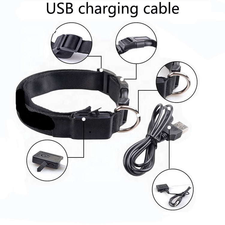 LED Dog Collar with USB Charging – Safe & Eco-Friendly