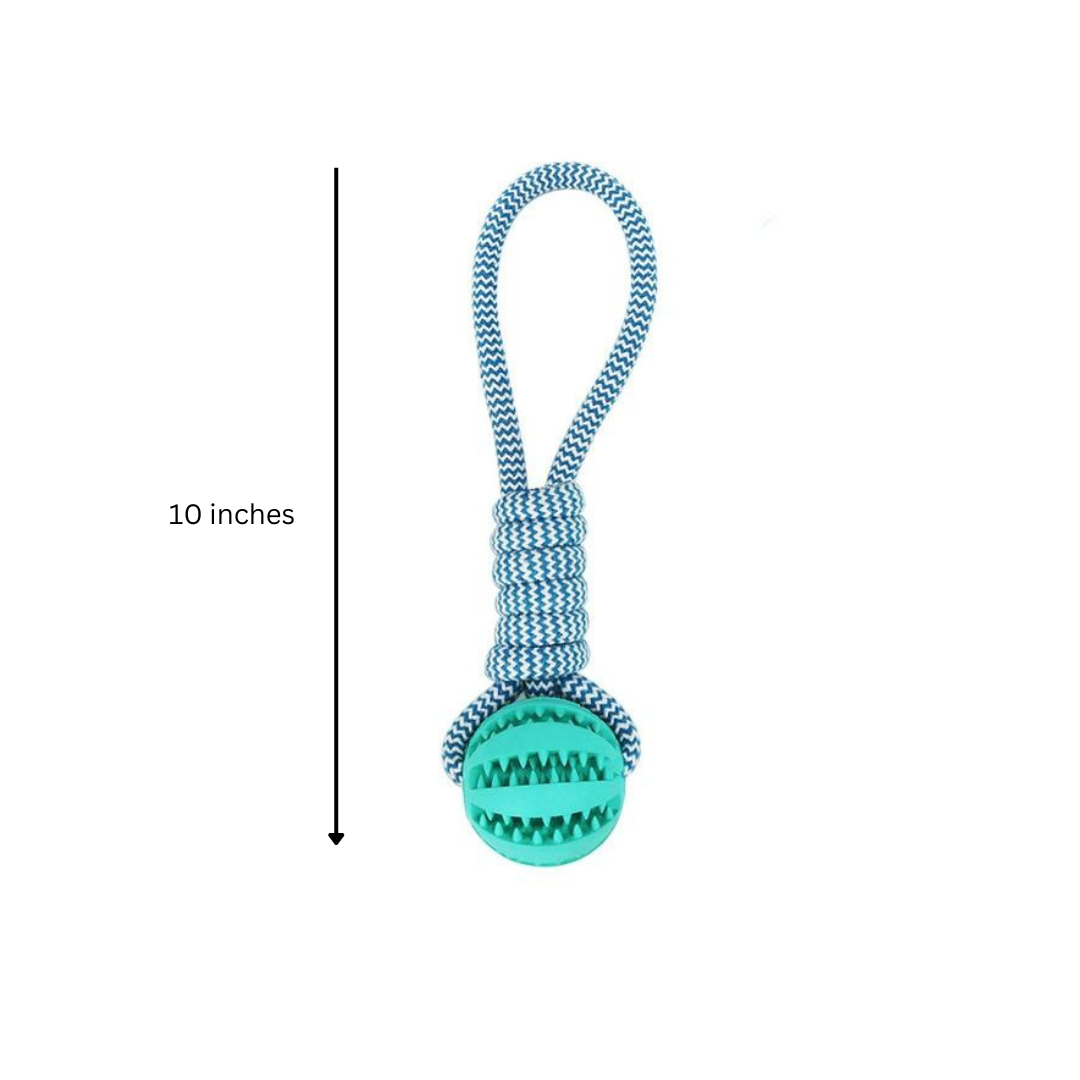 3-Pack Dog Chew Toys with Cotton Rope Balls – Dental Care & Play Set for Active Dogs