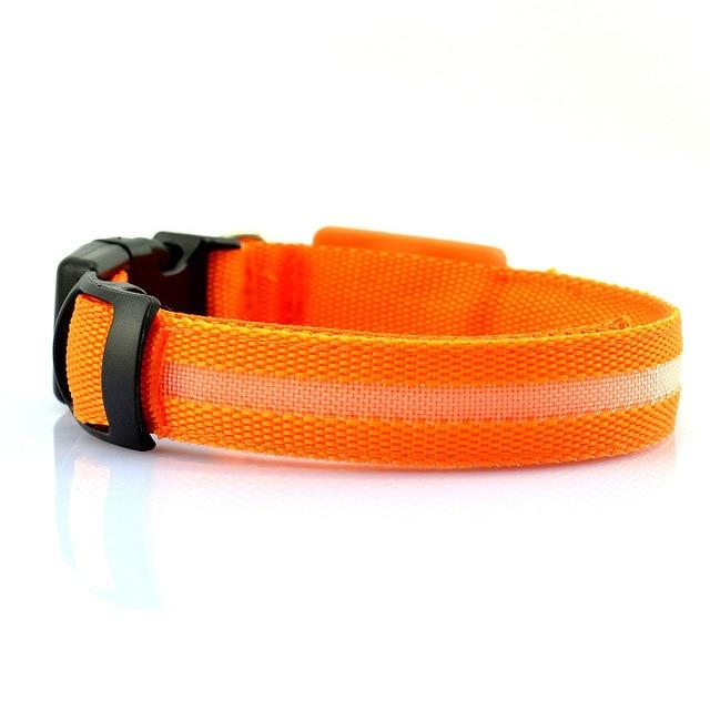 LED Dog Collar with USB Charging – Safe & Eco-Friendly