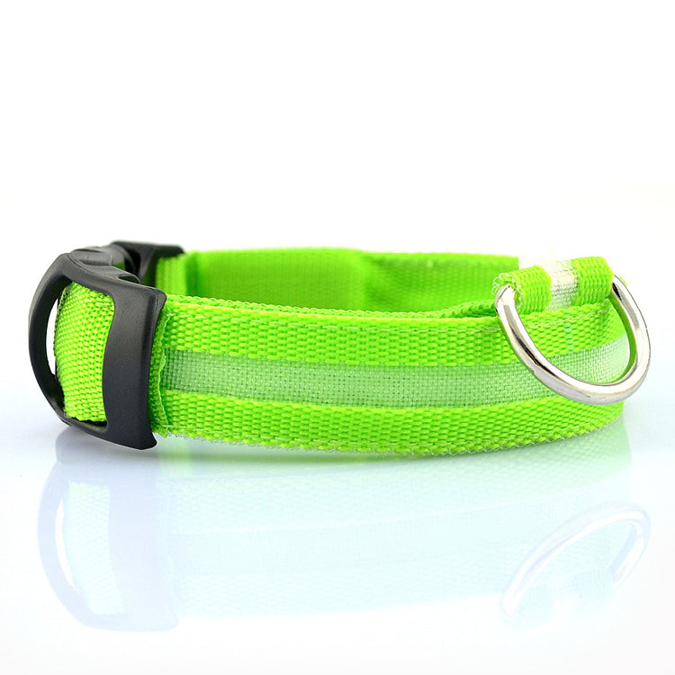 LED Dog Collar with USB Charging – Safe & Eco-Friendly