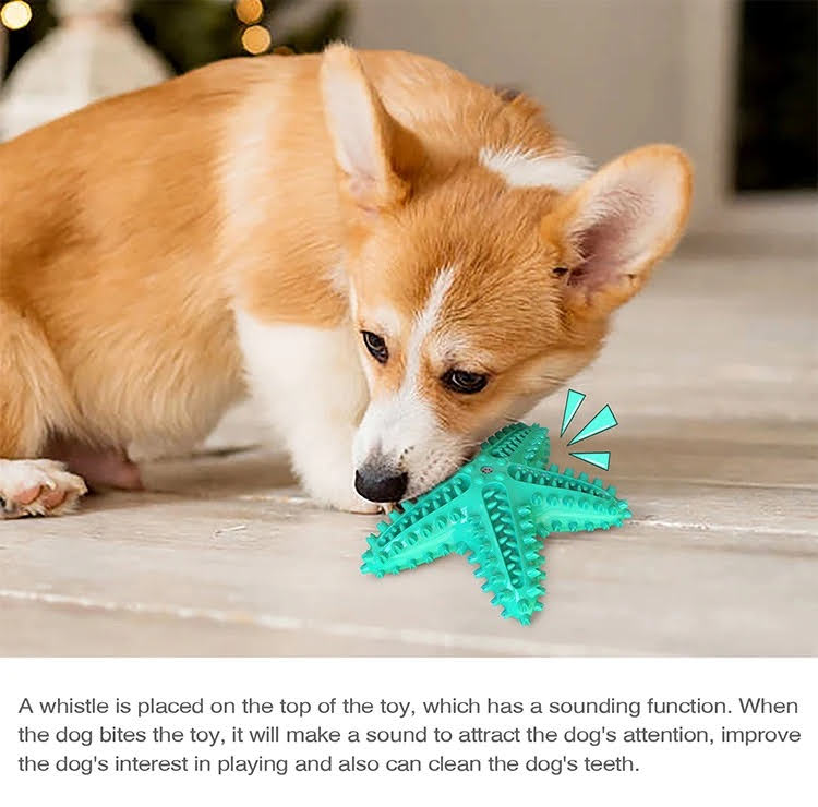 3-Pack Dog Chew Toys with Cotton Rope Balls – Dental Care & Play Set for Active Dogs