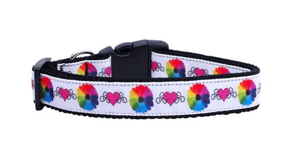 Dog & Cat Nylon Collar and Leash – Technicolor Love Design