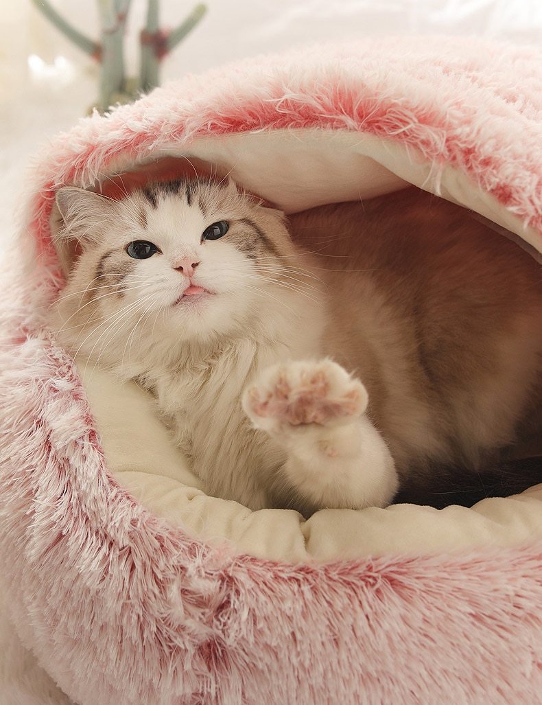 The Cozy Nest Bed Hideaway: The Ultimate 2-in-1 Retreat for Cats and Small Dogs