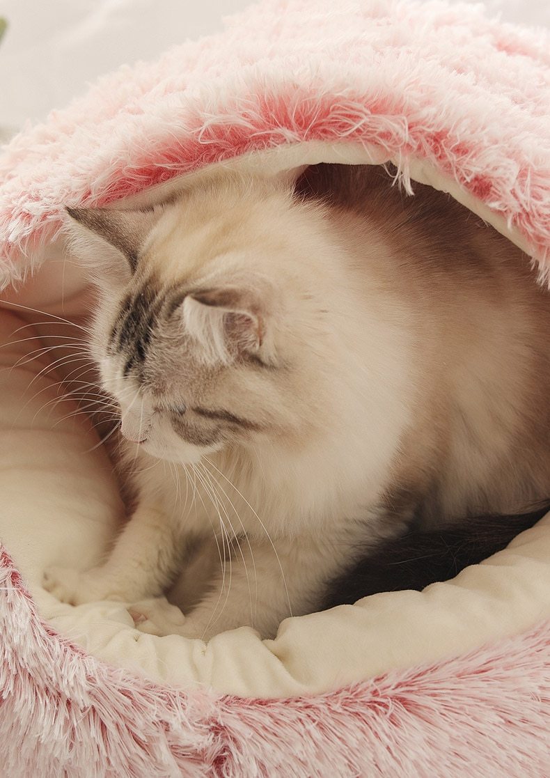 The Cozy Nest Bed Hideaway: The Ultimate 2-in-1 Retreat for Cats and Small Dogs