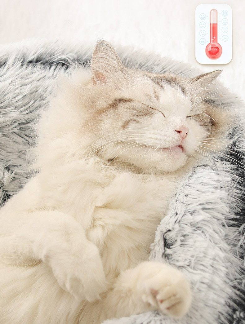 The Cozy Nest Bed Hideaway: The Ultimate 2-in-1 Retreat for Cats and Small Dogs