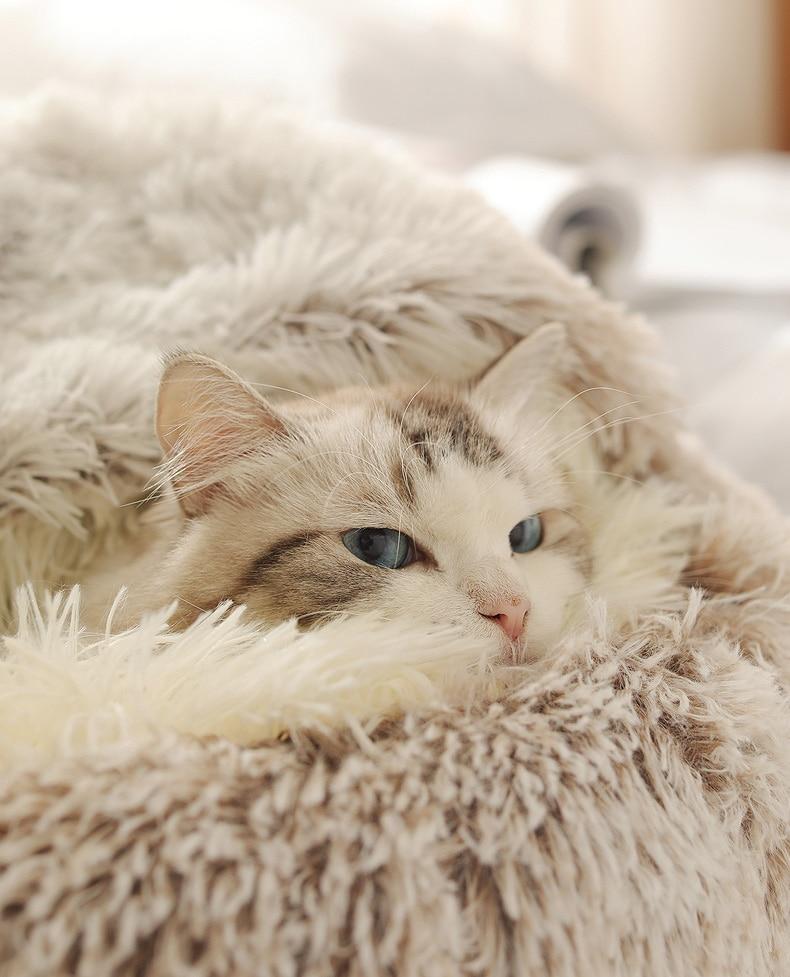 The Cozy Nest Bed Hideaway: The Ultimate 2-in-1 Retreat for Cats and Small Dogs