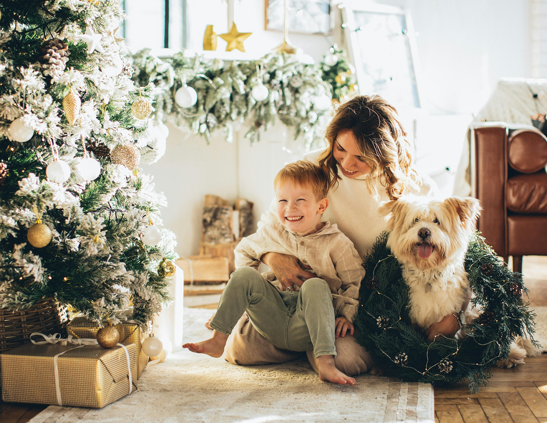 A woman sits on a living room floor with a beautifully decorated Christmas tree, with a little boy on her lap and a cute fluffy dog by her side.