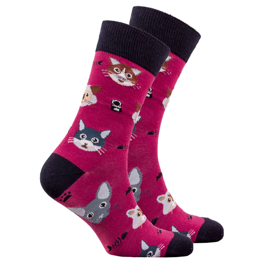 Men's Fun Cats Socks – Feline Designs!