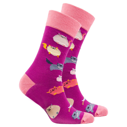 Men's Fatty Cats Socks – Fun Feline Flair!