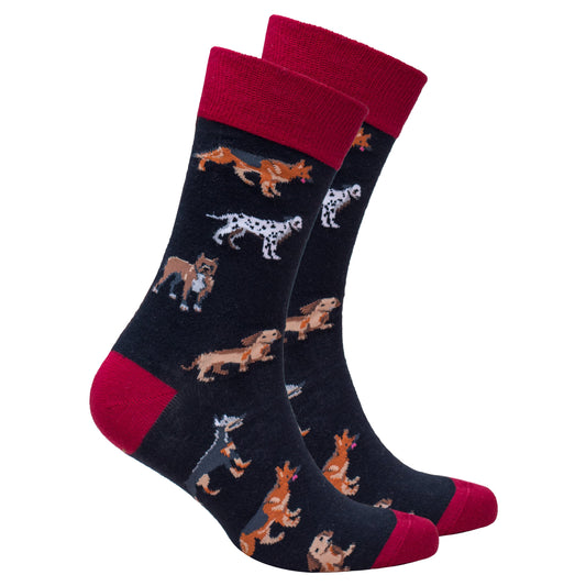 Men's Dog Breed Socks – Celebrate Your Favorite Pups!
