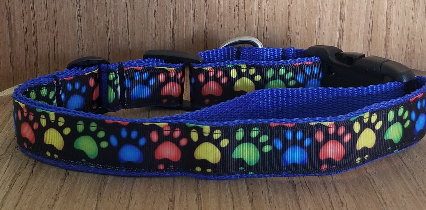 Safe & Secure "Rainbow Paw Print" Dog Martingale Collar – Durable & Trainer-Approved