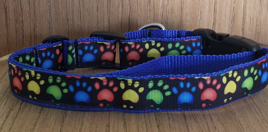 Safe & Secure "Rainbow Paw Print" Dog Martingale Collar – Durable & Trainer-Approved