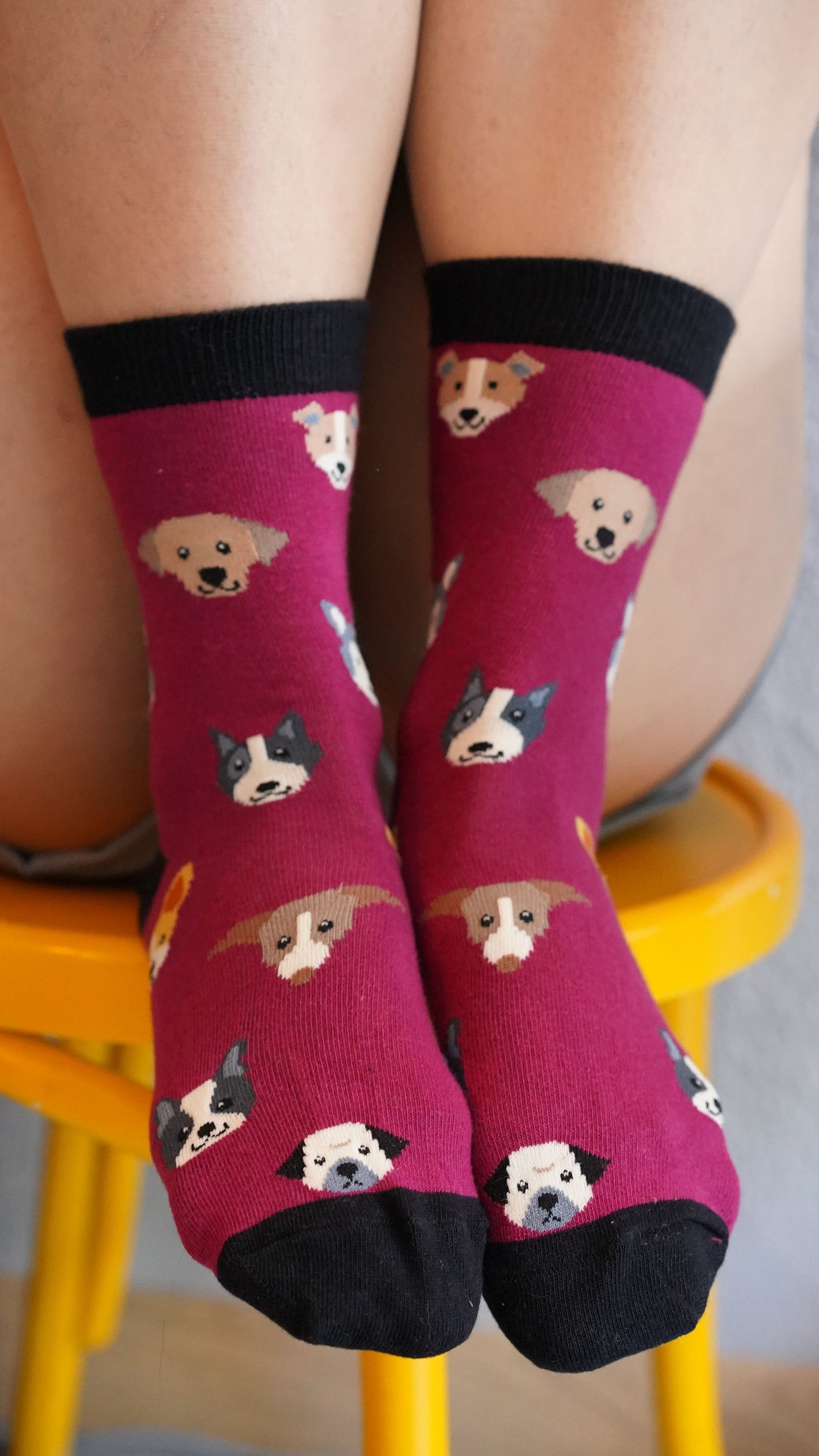 Women's Adorable Dogs Socks Set (5) with 5 Charming Dog Designs