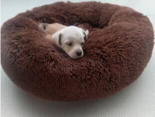 Soft Donut Cat Bed - The Ultimate Cozy Haven for Your Cat
