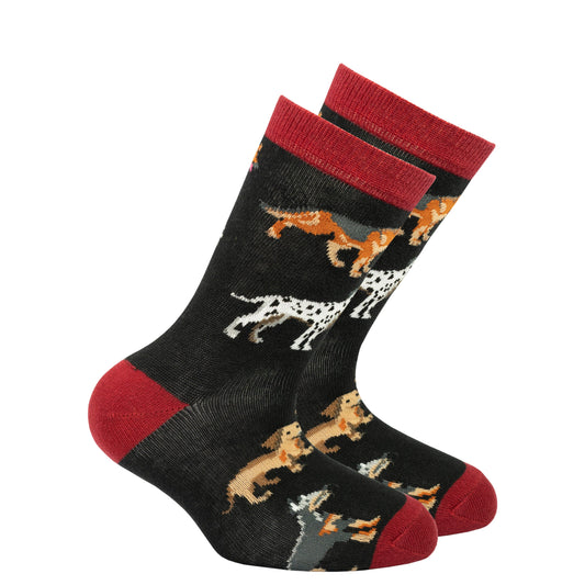 Kid's Dog Species Socks – Celebrate Dogs of All Kinds