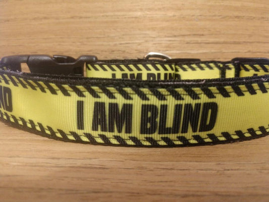 "I AM BLIND" Dog Collar & Leash Combo