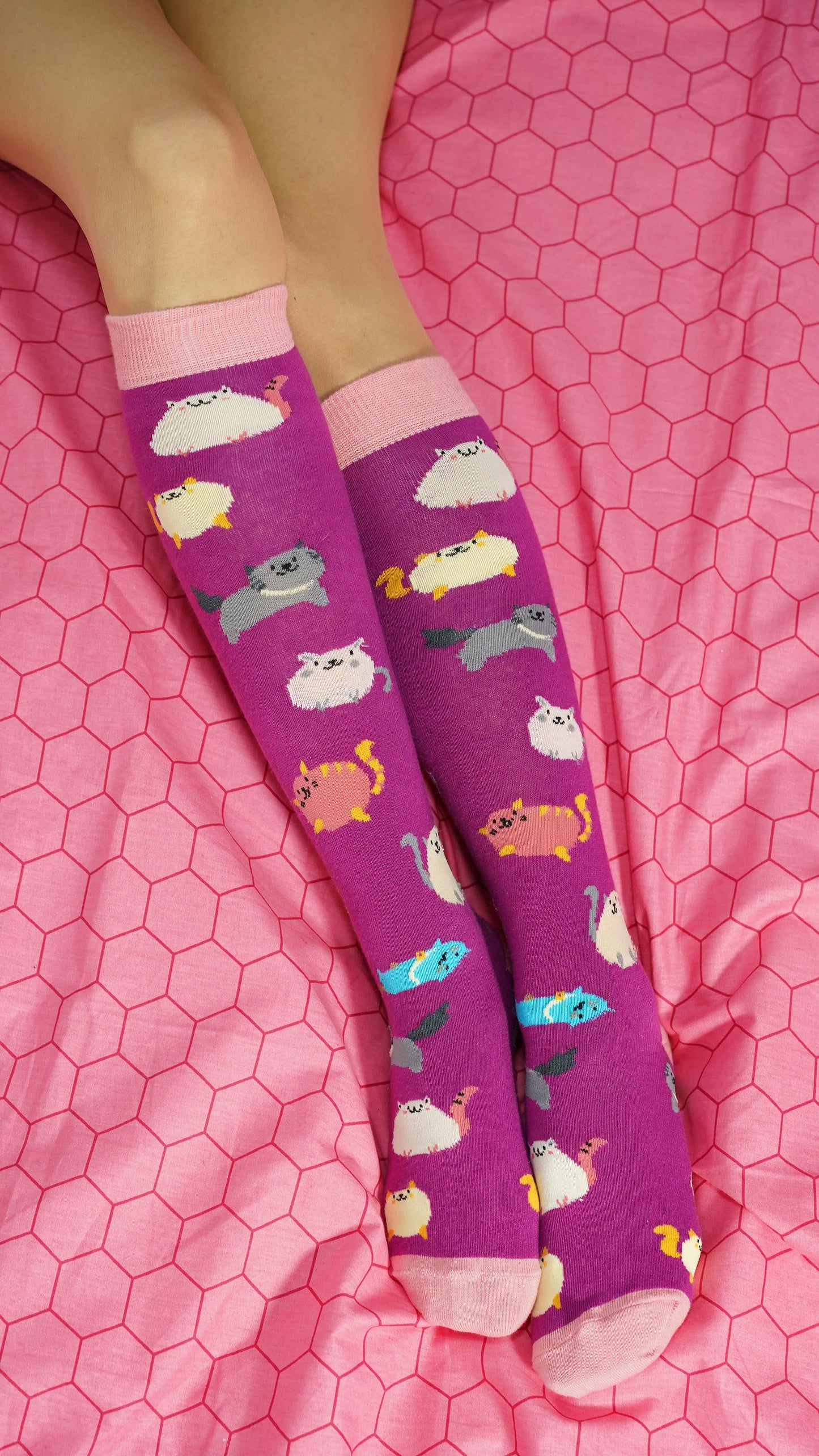 Women's Fatty Cats Knee High Socks - Adorable Cat Designs