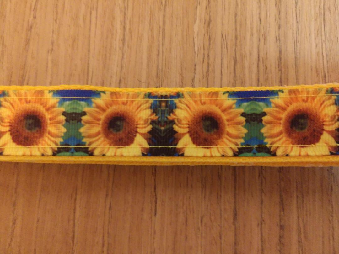 Safe & Secure "Sunflower" Dog Martingale Collar – Durable & Trainer-Approved