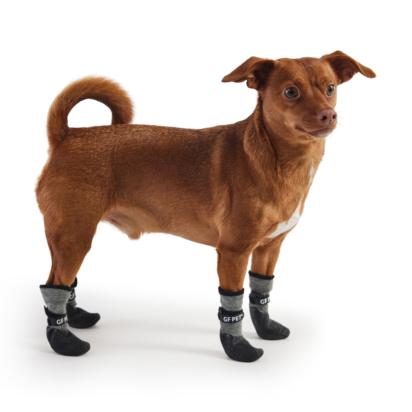 All Terrain Waterproof Dog Boots - Charcoal Grey | Paw Protection for All Seasons