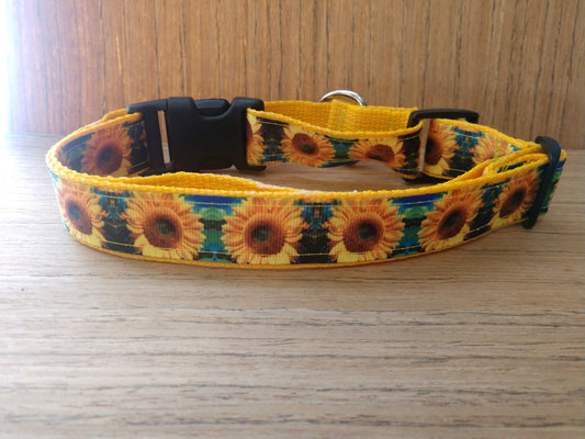 Safe & Secure "Sunflower" Dog Martingale Collar – Durable & Trainer-Approved