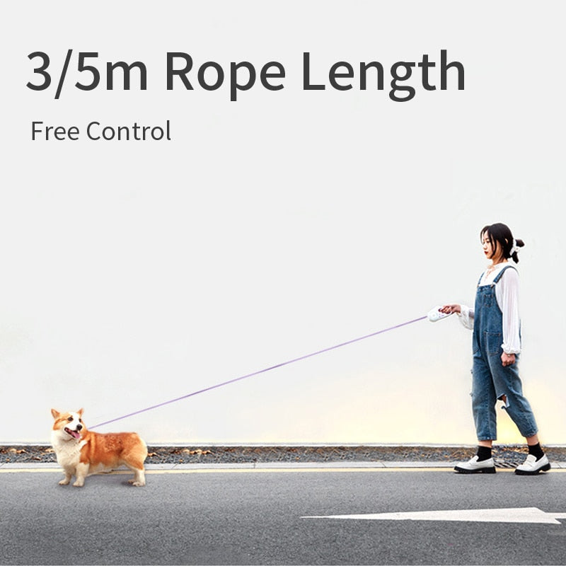 Retractable Light-Up Leash – Illuminated Walks for Dogs & Cats