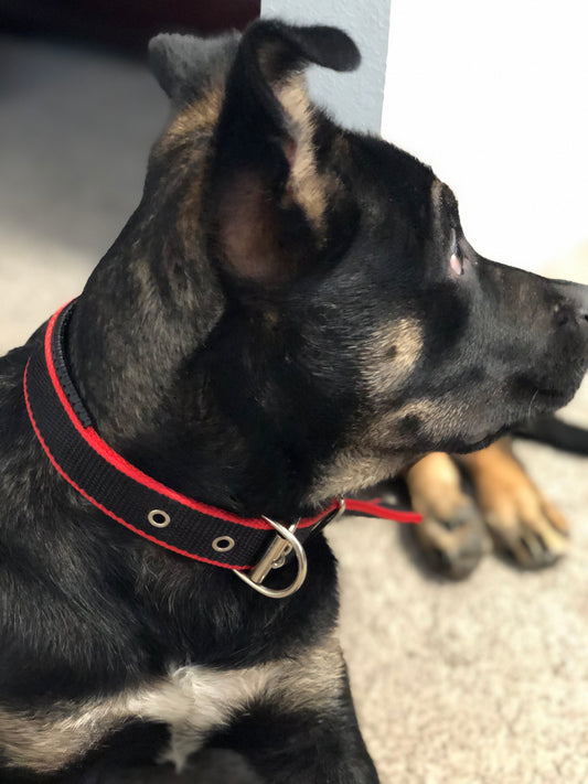 Adjustable Dog Collar: Perfect Fit for Small to Medium-Sized Dogs - Red & Black