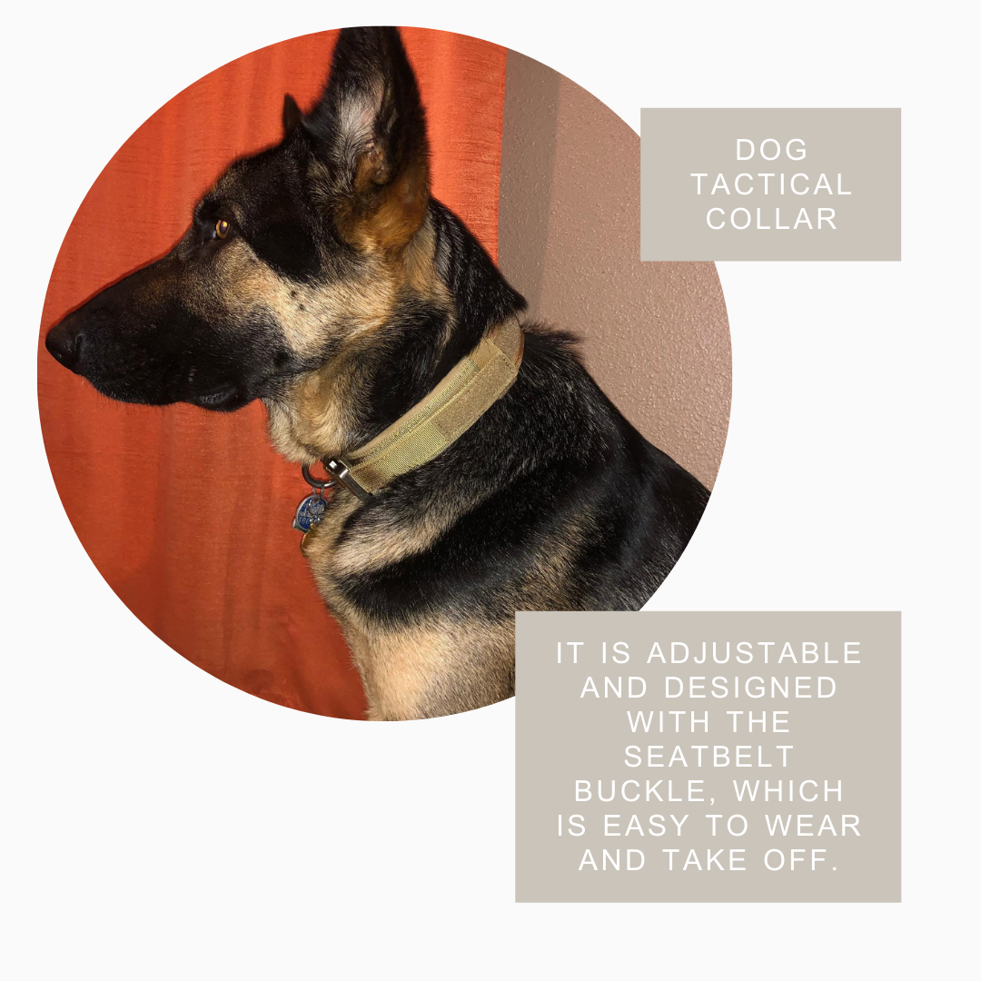 Military Style Dog Collar – Durable, Tactical Design for Active Dogs