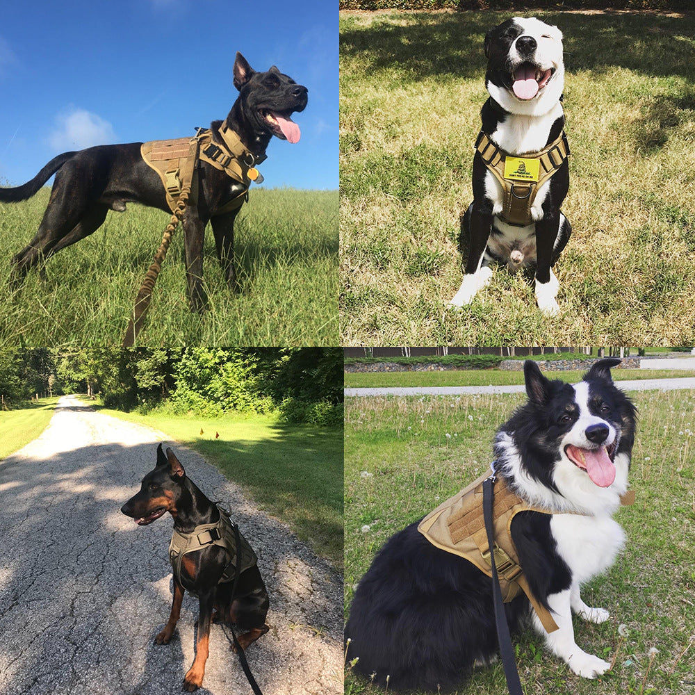 Brown Military Style Harness and Leash Set – Built for Strength and Comfort