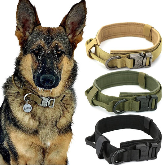 Military Style Dog Collar – Durable, Tactical Design for Active Dogs