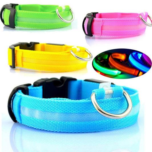 LED Dog Collar with USB Charging – Safe & Eco-Friendly