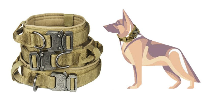 Military Style Dog Collar – Durable, Tactical Design for Active Dogs