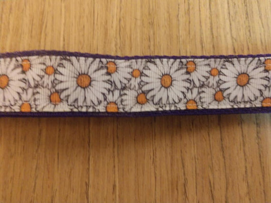 Safe & Secure "Daisy" Dog Martingale Collar – Durable & Trainer-Approved