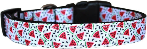 Cute Watermelon Dog & Cat Collar or Leash – Stylish and Durable