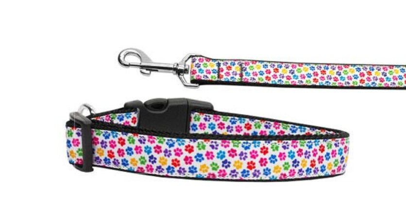 Rainbow Paw Prints Nylon Collar & Leash for Dogs & Cats