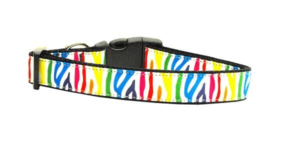 Zebra Rainbow Nylon Collar & Leash for Dogs & Cats