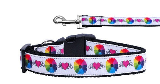 Dog & Cat Nylon Collar and Leash – Technicolor Love Design